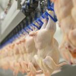 Beyaz et sektöründe 4 firmaya 1.2 milyar liralık ceza