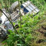 Düzce’de traktör uçurumdan yuvarlandı! 16 yaşındaki sürücü hayatını kaybetti