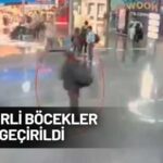 İstanbul Havalimanı’nda kaçakçılık operasyonu! Bir şüpheli yakalandı