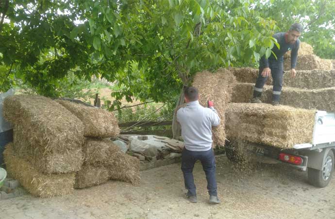 İzmit Belediyesi, buğday tarlasından elde ettiği saman balyalarını üreticilerle paylaşıyor
