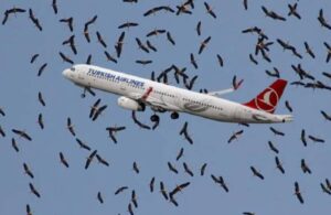 Uzmanlar ‘Yapmayın’ diye uyarmıştı! İstanbul Havalimanı’nda leylek alarmı