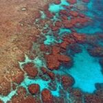 Zarar gören resiflere hoparlörlerle şifa arayışı