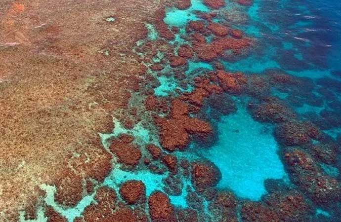 Zarar gören resiflere hoparlörlerle şifa arayışı