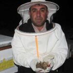 Çanakkale’de toplu arı ölümleri panik yarattı! “Basit bir şey değil”