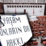AKP’nin tepki toplayan ‘sokak hayvanları’ teklifinin taslağı Meclis’te