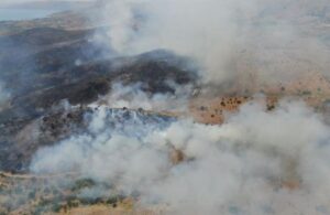 Elazığ, İzmir… Türkiye’nin akciğerleri yanıyor! 2 köy tahliye edildi