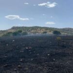 Diyarbakır’da örtü yangını! 10 hektar alan küle döndü