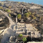 Çanakkale yangınında 7 bin yıllık Assos Ören Yeri ve Athena Tapınağı küle döndü!