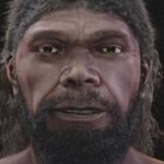 300 bin yıl öncesine ait insan atasının yüzü ilk defa gün yüzüne çıktı