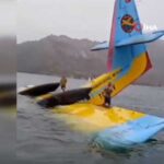 Göle batan yangın söndürme uçağının pilotları böyle kurtarıldı