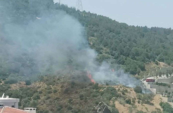 İzmir’de orman yangını!