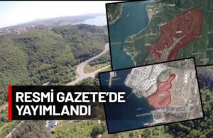 İşte İstanbul, İzmir, Bitlis ve Artvin’de orman vasfından çıkarılan bölgeler