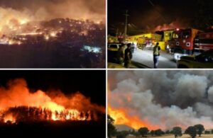 Orman yangınlarında son durum: Bakan’dan açıklama