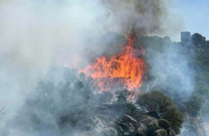 Çanakkale’de makilik alanda yangın! Alevler Assos Antik Kenti’ne sıçradı