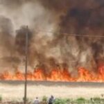 Diyarbakır’da yangın! 420 dönüm buğday yandı