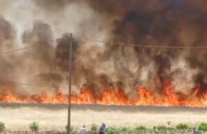 Diyarbakır’da yangın! 420 dönüm buğday yandı