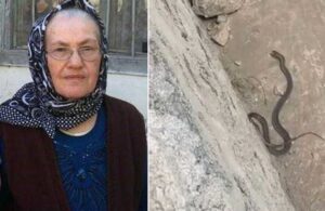 Üzerine bastığı yılan tarafından ısırılan kadın hayatını kaybetti