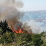 AKOM’dan orman yangını uyarısı: Risk yüksek