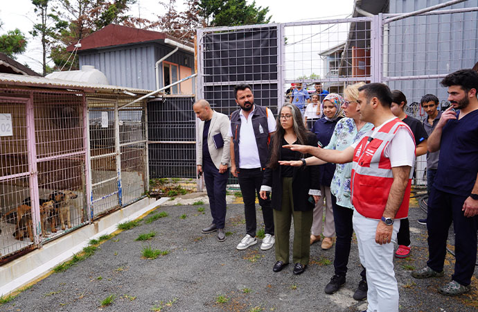 Beyoğlu Belediyesi ve Espressolab’tan sokak hayvanları için işbirliği
