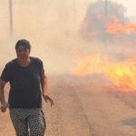 Urla’da yeni orman yangını: 455 ev ve iş yeri tahliye edildi