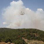 Bornova’da korkutan orman yangını