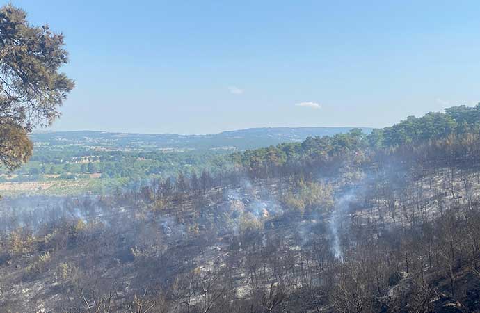 17 hektarlık alan kül oldu! Çanakkale’deki orman yangını saatler sonraa kontrol altında