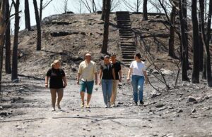 Yanan alanı gezen Filiz Ceritoğlu Sengel’den dayanışma çağrısı: Lütfen hepimiz yangınlara karşı çok dikkatli olalım