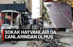 Dört ihbar yapılmış Gediz elektrik kılını kıpırdatmamış! İzmir’de iki gencin feci ölümünde 12 tutuklama