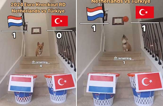 EURO 2024'teki maçların sonucunu topa yaptığı hamleler ile öngören ve sosyal medyada 'kahin köpek' olarak bilinen Steph Furry, Türkiye'nin Hollanda maçını da tahmin etti. 