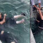 Kadıköy’de denize düşen kadın ölümden son anda kurtuldu