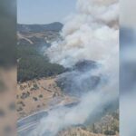 İzmir’de orman yangını! Yol ulaşıma kapatıldı