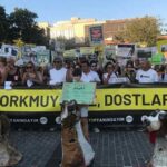 AKP’nin ‘hayvan katliamı’ yasasına karşı çağrı: Tencere tava ile ses çıkartın