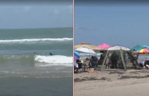 Halk plajında korku dolu anlar! 2 metrelik köpek balığı 4 kişiye saldırdı