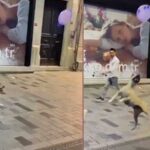 İstanbul Beyoğlu’nda büyük tehlike yaratan sokak köpeği! Yorum sizin