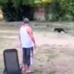 Bu nasıl vicdan! Almanya’dan gelen gurbetçi sokaktaki köpeği tüfekle vurdu
