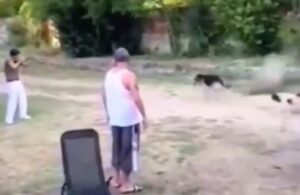 Bu nasıl vicdan! Almanya’dan gelen gurbetçi sokaktaki köpeği tüfekle vurdu