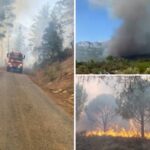 Dört ilde orman yangını! Kahramanmaraş’ta tahliyelere başlandı