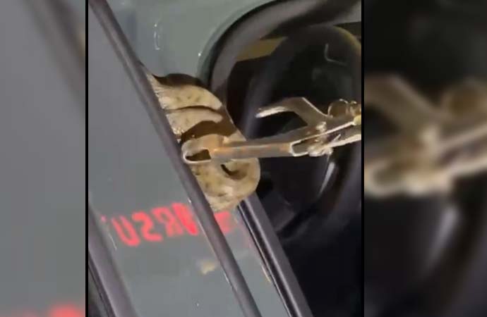 Otomobilde kabus dolu anlar! Arabanın içine giren yılan korkuttu