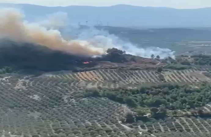 Tunceli, Manisa ve Kahramanmaraş’ta orman yangını