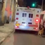 Sahibi ambulansla götürülen köpek mahalle boyunca aracı takip etti!